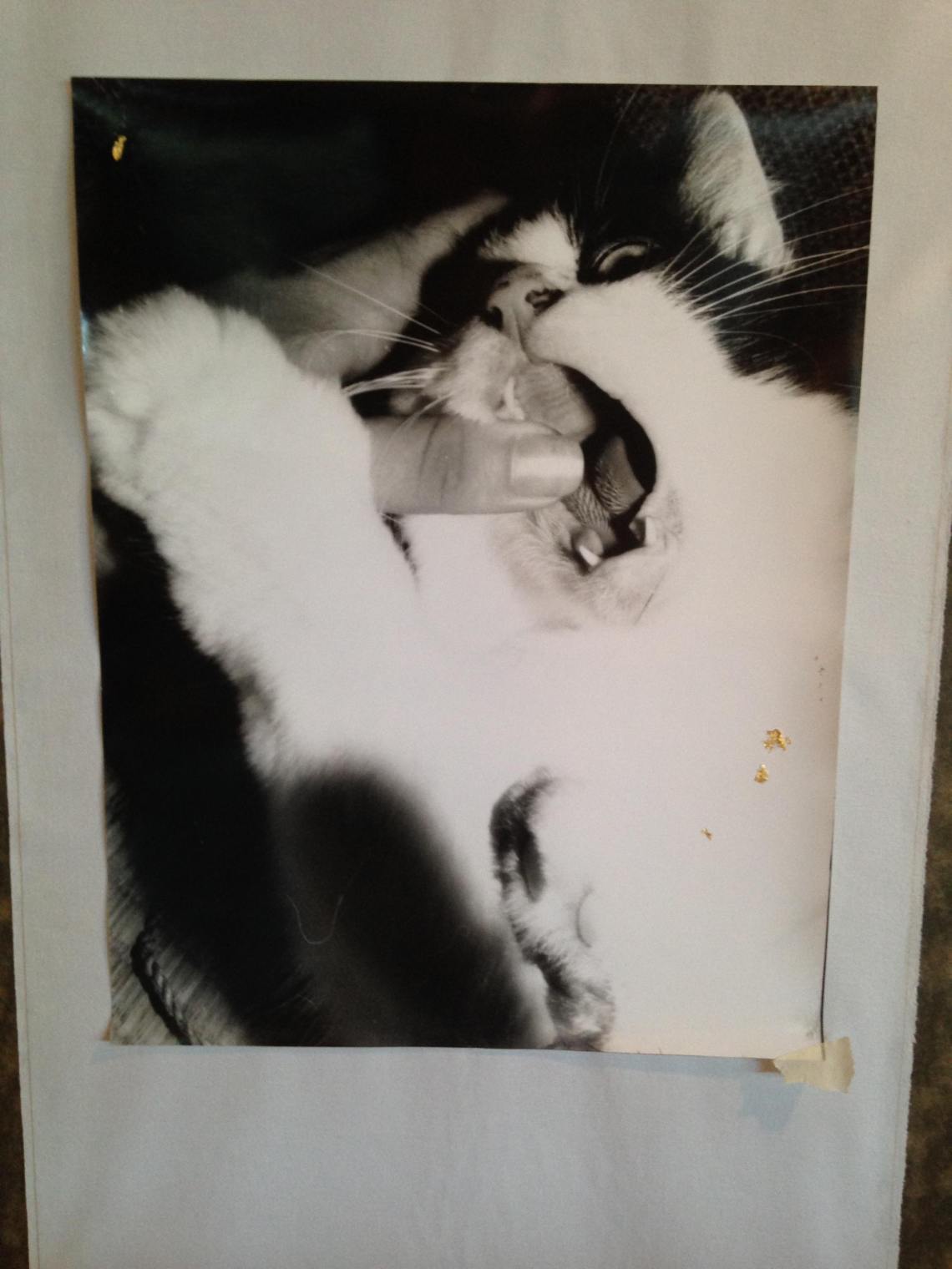 85221966_844914282603594_3677844864239665152_n