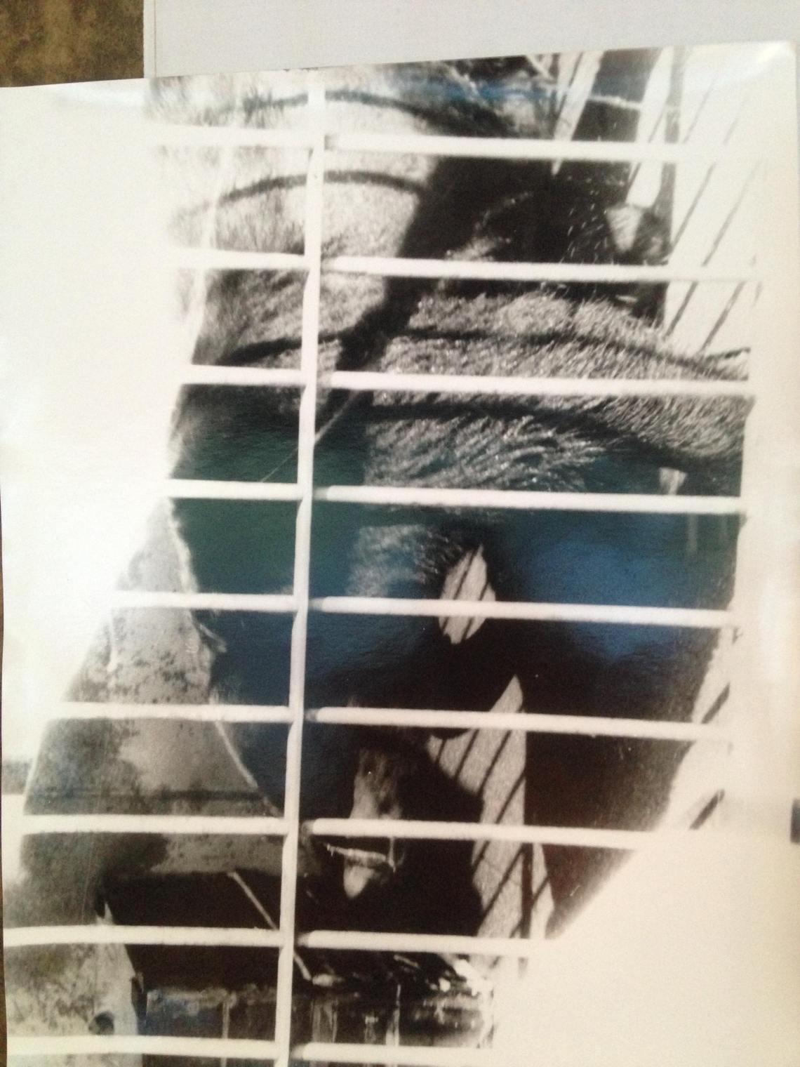 86185321_3295008833848345_6495457536286654464_n